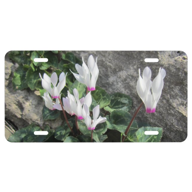 Wild Flowers License Plate (Front)