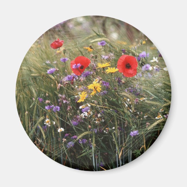 Wild flowers magnet (Front)