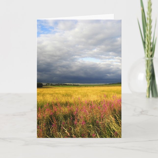 Wild flowers meadow card (Front)