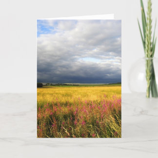 Wild flowers meadow card
