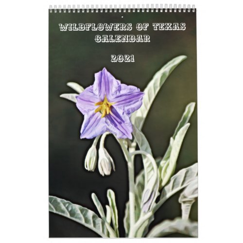 Wild Flowers of Texas Calendar 2021