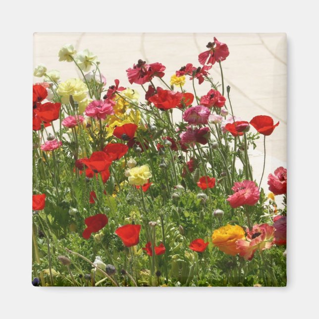 Wild flowers on green field magnet (Front)