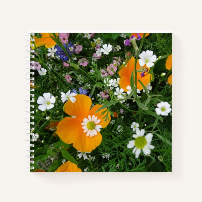 Wild Flowers: Orange White Pink Notebook (Front)