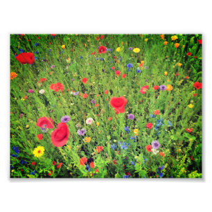 Wild flowers Photo Professional Paper (Satin)