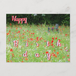 Wild Flowers Poppies Bench Happy Birthday Postcard