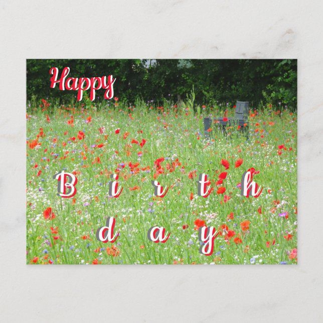 Wild Flowers Poppies Bench Happy Birthday Postcard (Front)