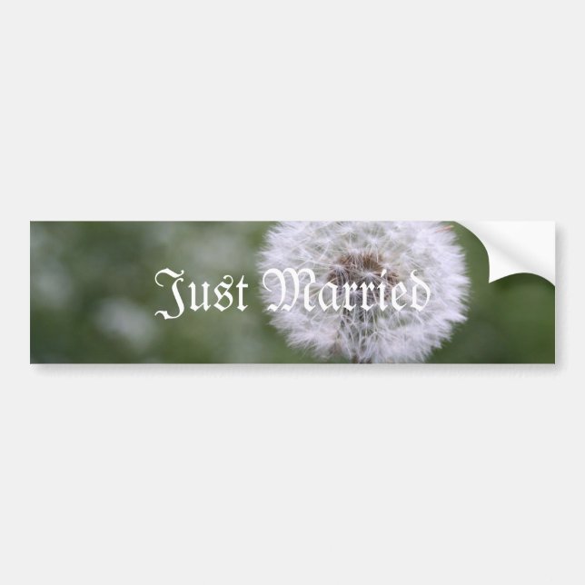 Wild Flowers Wedding Invitations and Favors Bumper Sticker (Front)