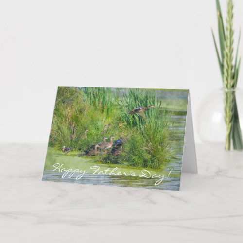 Wild Flying Ducks Fathers Day Wildlife Card