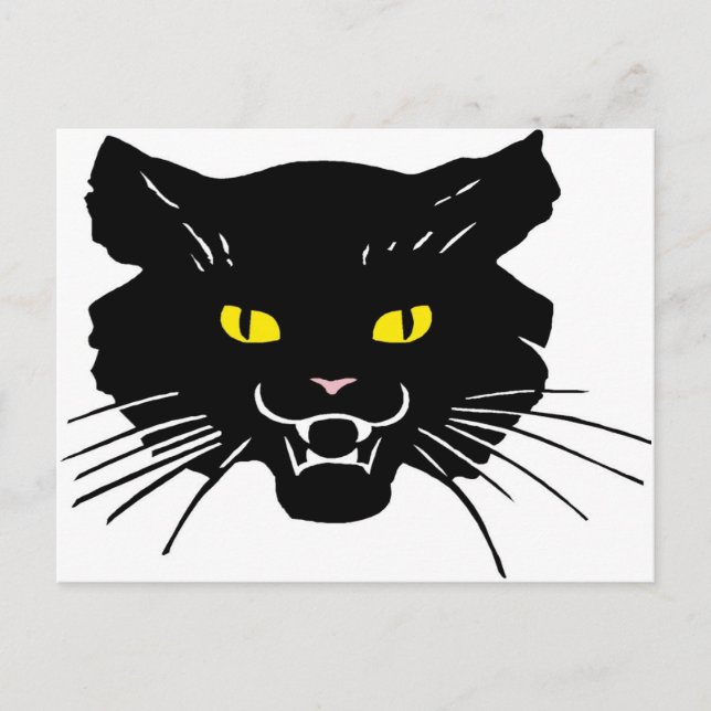 wild for fun postcard (Front)