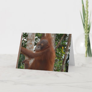 Wild For You Valentine Mohawk Hairdo Holiday Card