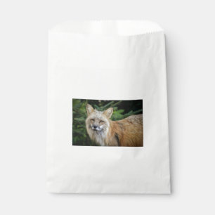 Wild Fox Favor Bag
