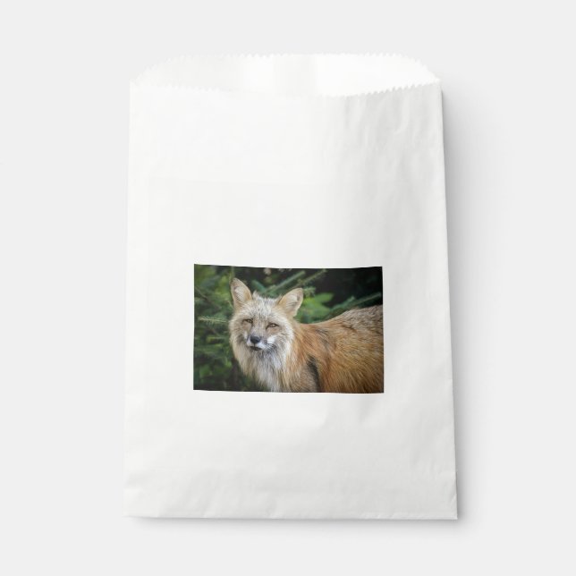 Wild Fox Favor Bag (Front)