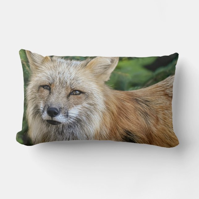 Wild Fox Lumbar Pillow (Front)