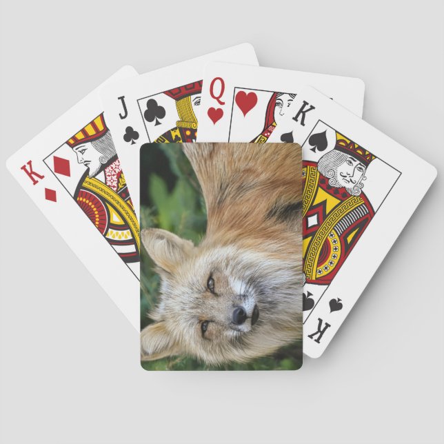 Wild Fox Poker Cards (Back)