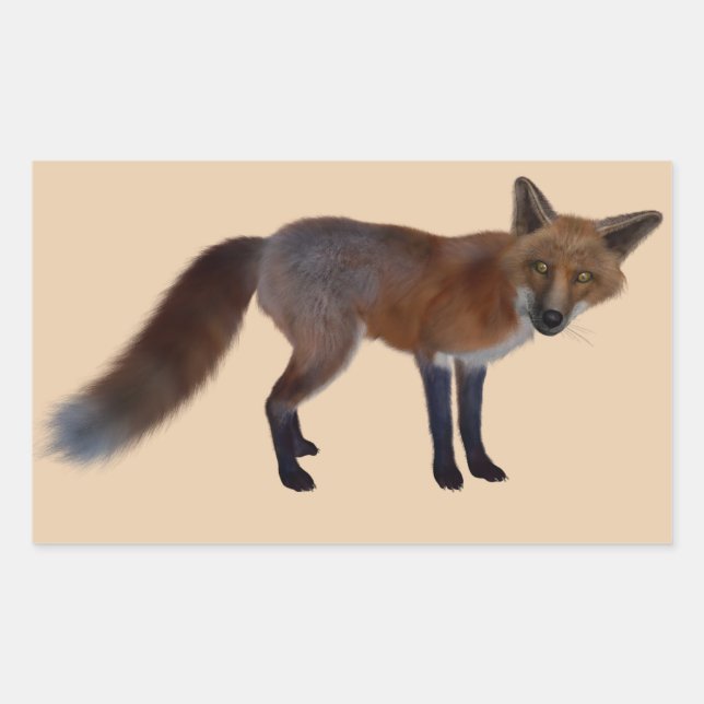 wild fox stickers (Front)