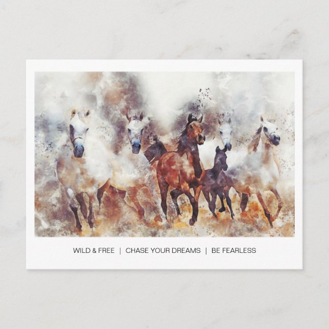 Wild & free horses postcard (Front)