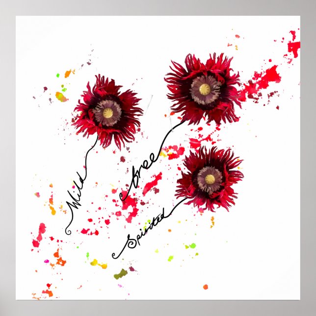 Wild free spirited ragged poppy wild flowers poster (Front)