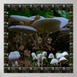 Wild Fresh MUSHROOM Fungi : Exotic Photography Poster<br><div class="desc">Wild Fresh MUSHROOM Fungi : Exotic Photography  Chinese symbol of luck and harmony</div>