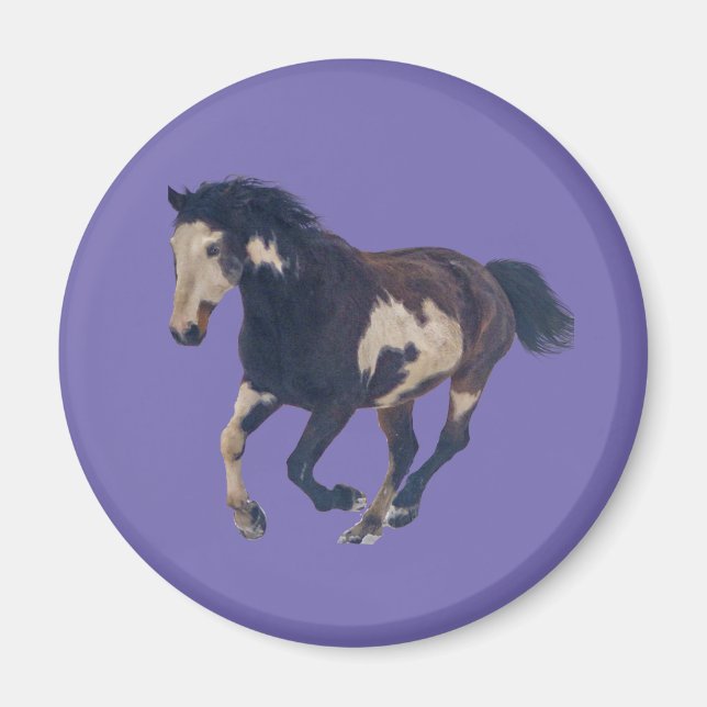 Wild Galloping Pinto American Paint Horse Magnet (Front)