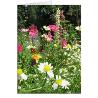 Wild garden card