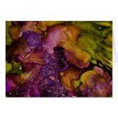 Wild Garden collection (Front Horizontal)