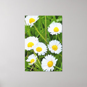 Wild Garden Flowers Romania – Nature Photography Canvas Print