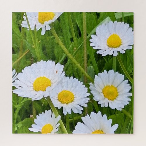 Wild Garden Flowers Romania – Nature Photography Jigsaw Puzzle