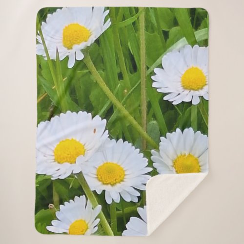 Wild Garden Flowers Romania – Nature Photography Sherpa Blanket