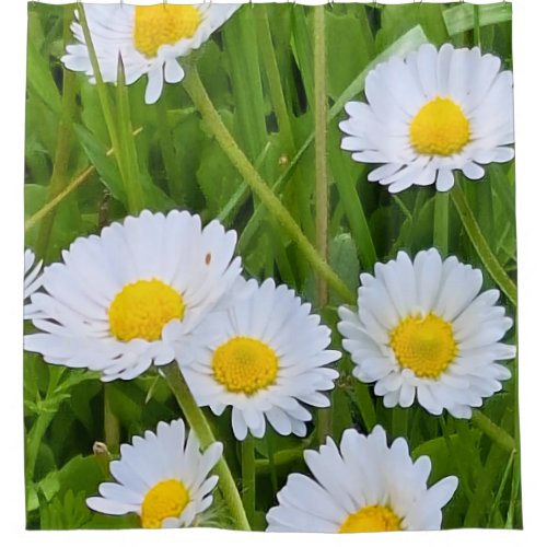 Wild Garden Flowers Romania – Nature Photography Shower Curtain