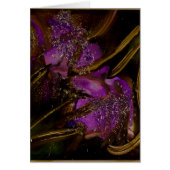 Wild Garden v4 collection (Front)