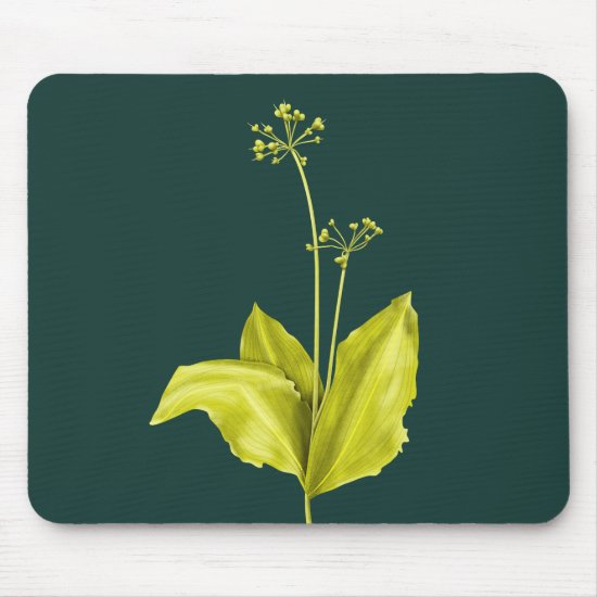 Wild Garlic Green Plant Botanical Art Mouse Pad