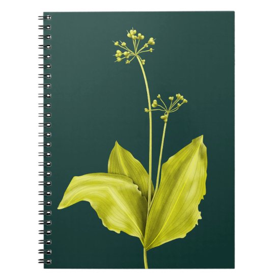 Wild Garlic Green Plant Botanical Art Notebook