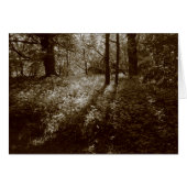 Wild Garlic in the Woods - Sepia Toned (Front Horizontal)