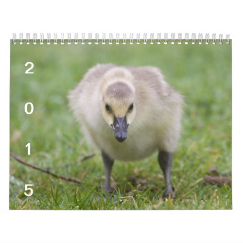 Wild Geese 2015 _ Goose Calendar