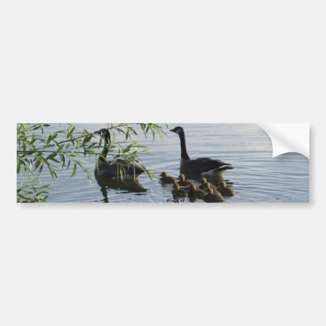 Wild Geese Bumper Sticker (Front)