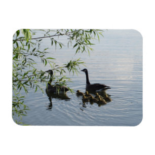 Wild Geese Flexible Magnet