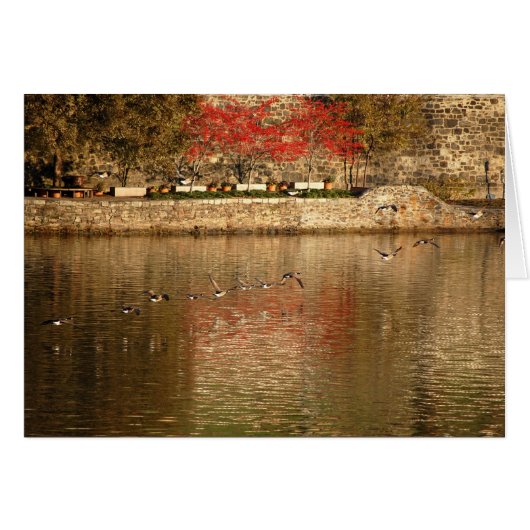 Wild Geese Flying in Formation Cards (Front Horizontal)