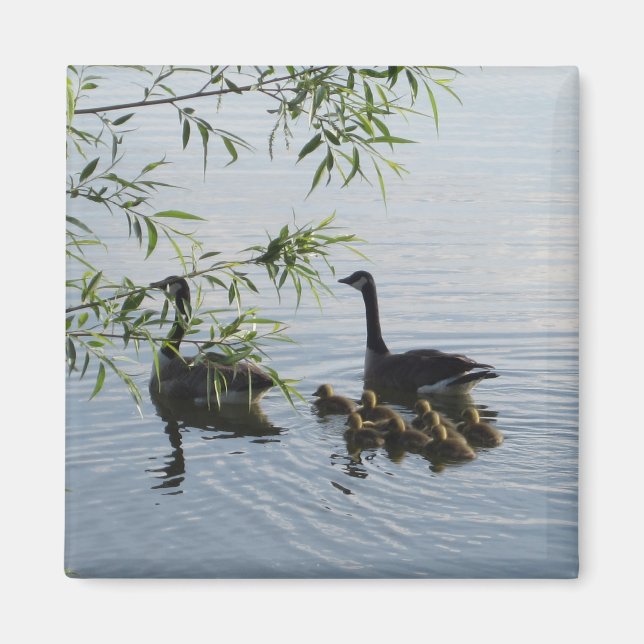 Wild Geese Magnet (Front)