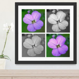 Wild Geranium in Four Expressions Framed Art