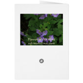 Wild Geraniums Cards (Back)