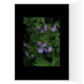 Wild Geraniums Cards (Inside (Left))