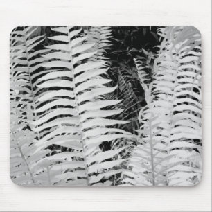 Wild giant leather fern, Florida, USA. Mouse Pad