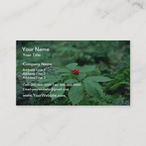 Customizable Wild Ginseng (Panax Quinquefolius) flowers Business Card Templates