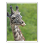 Wild Giraffe Temporary Tattoos