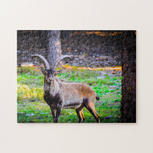 Wild Goat in Nevada. Jigsaw Puzzle (Horizontal)
