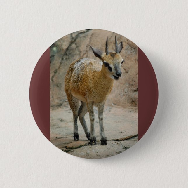 Wild Goats Button (Front)