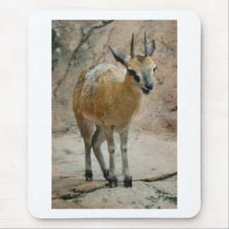 Wild Goats Mouse Pad