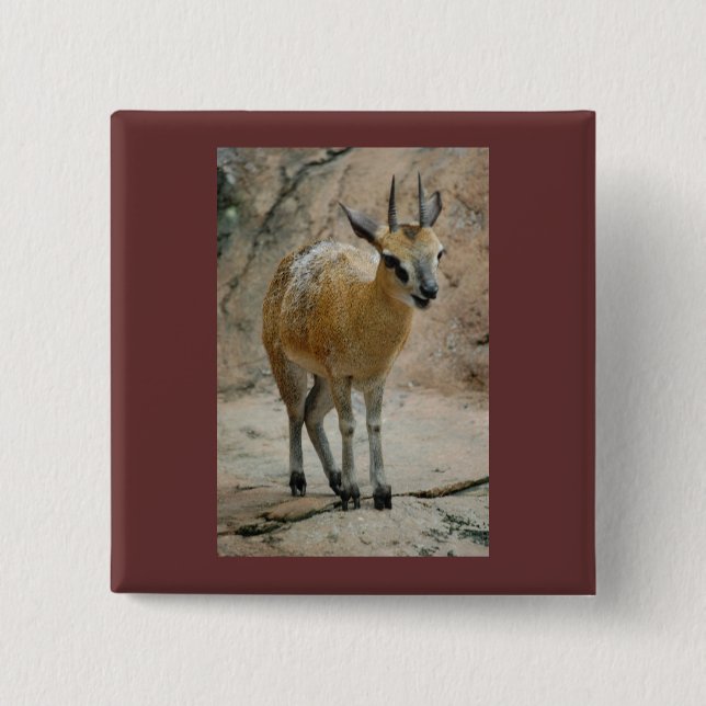 Wild Goats Pinback Button (Front)