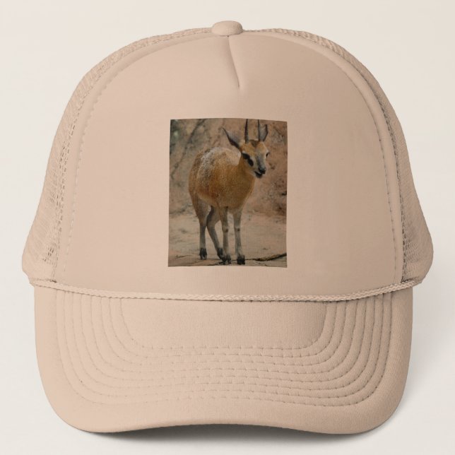 Wild Goats Trucker Hat (Front)