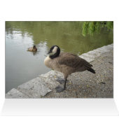 Wild Goose (Inside Horizontal (Top))